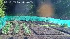 kannonmori-20250519065017.jpg