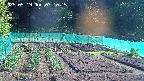 kannonmori-20250519071016.jpg
