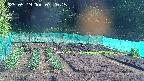 kannonmori-20250519072017.jpg