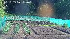 kannonmori-20250519073016.jpg