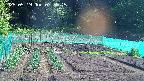 kannonmori-20250519075016.jpg