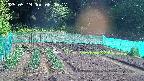 kannonmori-20250519080018.jpg