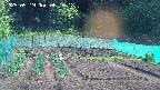 kannonmori-20250519081018.jpg