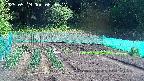 kannonmori-20250519083017.jpg