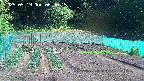 kannonmori-20250519084015.jpg