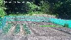 kannonmori-20250519094017.jpg