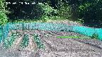 kannonmori-20250519095017.jpg