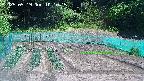 kannonmori-20250519101017.jpg