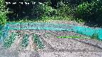 kannonmori-20250519102014.jpg