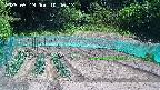 kannonmori-20250519104015.jpg