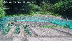 kannonmori-20250519105016.jpg