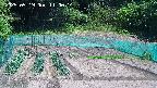 kannonmori-20250519110016.jpg