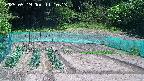 kannonmori-20250519111015.jpg