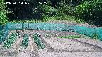 kannonmori-20250519112015.jpg