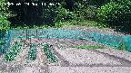 kannonmori-20250519113016.jpg