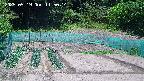 kannonmori-20250519115016.jpg