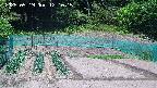 kannonmori-20250519121017.jpg