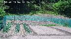 kannonmori-20250519122020.jpg