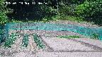 kannonmori-20250519123018.jpg