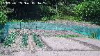 kannonmori-20250519124017.jpg