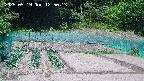 kannonmori-20250519125014.jpg