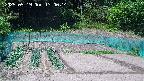 kannonmori-20250519130016.jpg
