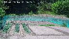 kannonmori-20250519131017.jpg