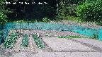 kannonmori-20250519133016.jpg