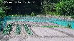 kannonmori-20250519134015.jpg