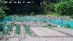 kannonmori-20250519135015.jpg