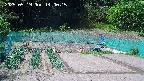 kannonmori-20250519140016.jpg