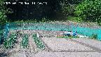kannonmori-20250519141015.jpg