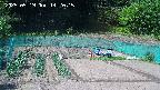 kannonmori-20250519142017.jpg