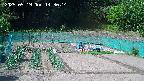 kannonmori-20250519143016.jpg