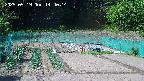 kannonmori-20250519144016.jpg