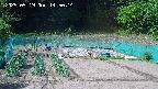 kannonmori-20250519145016.jpg