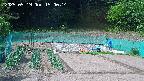 kannonmori-20250519150016.jpg