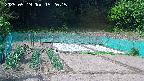 kannonmori-20250519152016.jpg