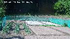 kannonmori-20250519153018.jpg