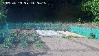 kannonmori-20250519160017.jpg