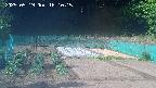 kannonmori-20250519161017.jpg