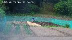kannonmori-20250519172017.jpg