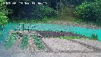 kannonmori-20250519183015.jpg