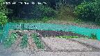 kannonmori-20250519184017.jpg