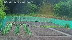kannonmori-20250520051016.jpg