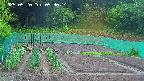 kannonmori-20250520053016.jpg