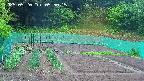 kannonmori-20250520055017.jpg