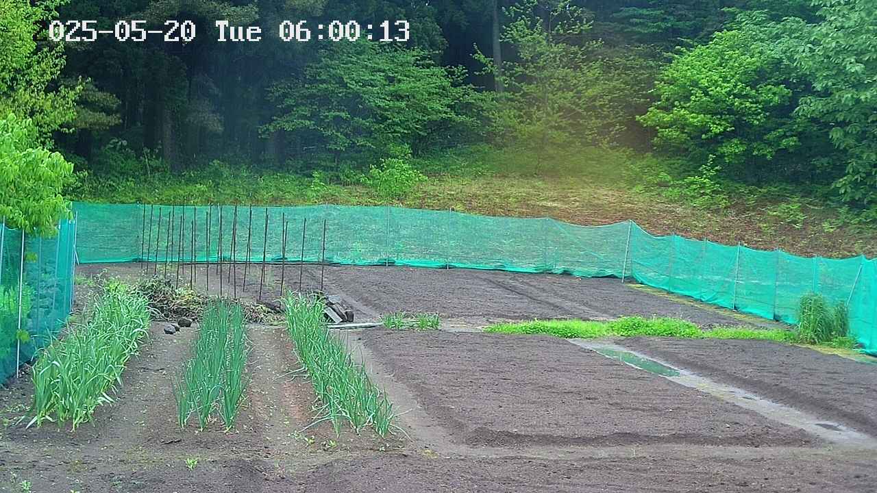 kannonmori-20250520060015.jpg