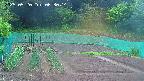 kannonmori-20250520063016.jpg