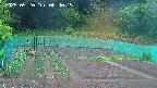 kannonmori-20250520064017.jpg